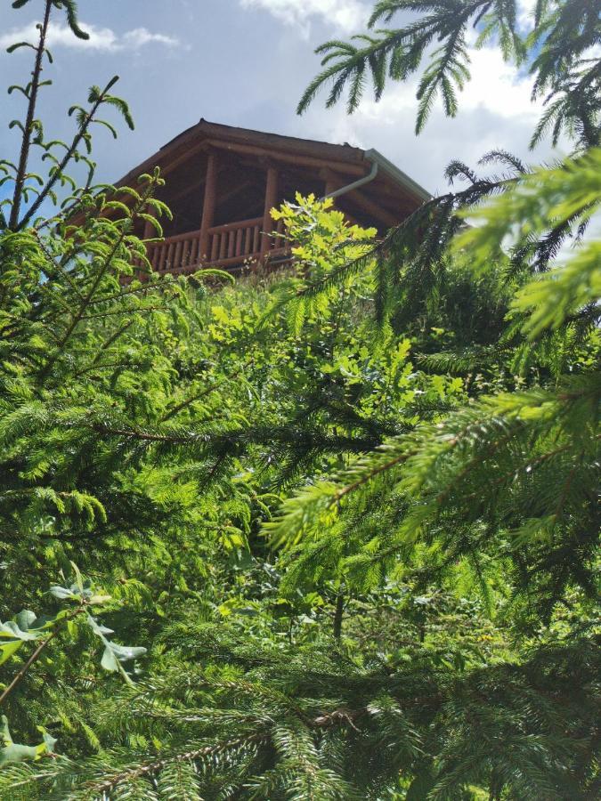 Cabana Casa De Piatra, De La Mara Deseşti Exteriör bild