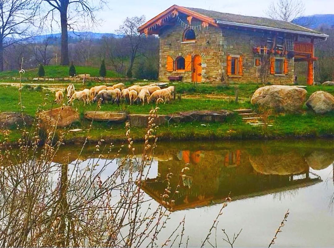 Cabana Casa De Piatra, De La Mara Deseşti Exteriör bild